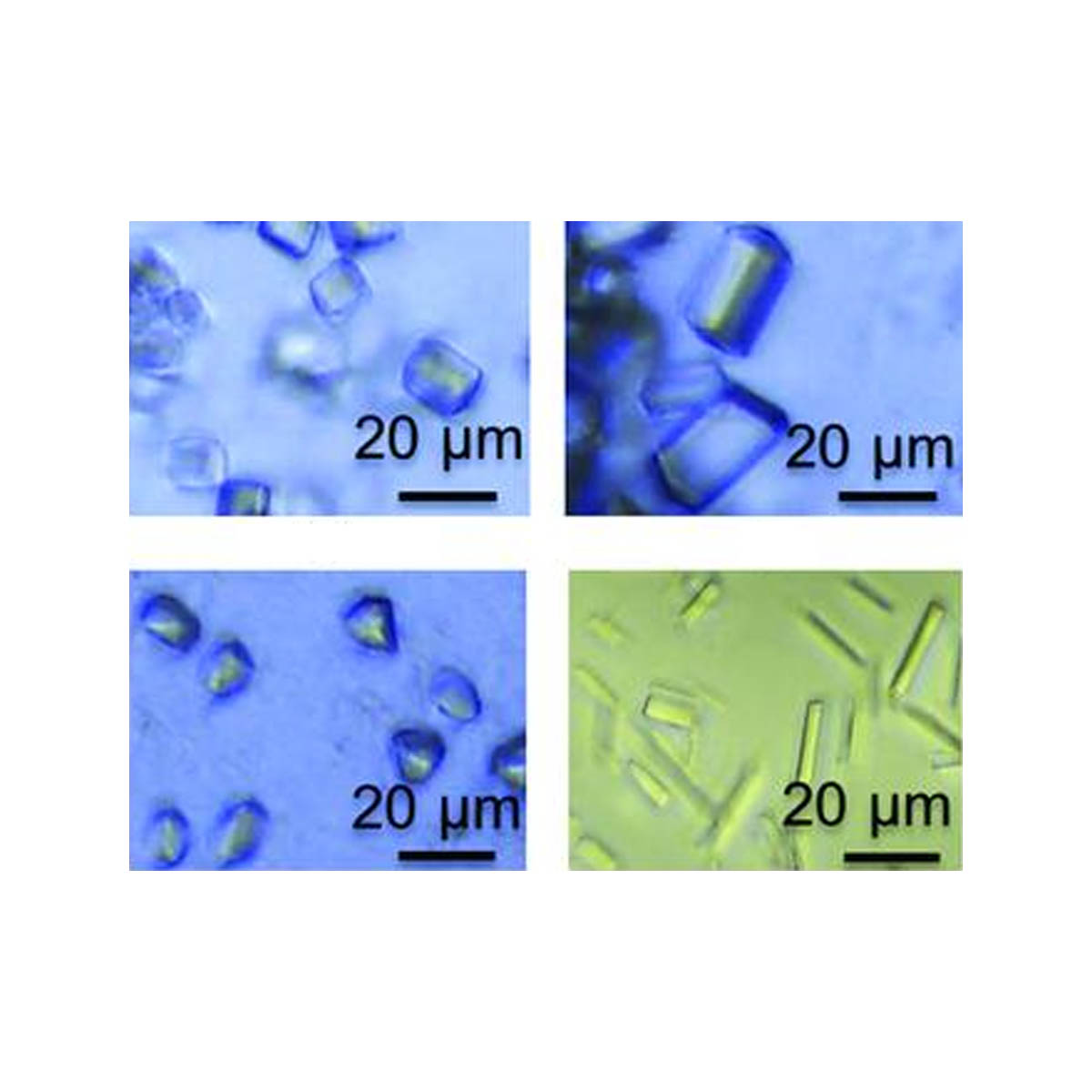 IMISX Crystallization Plate Kit