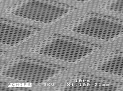 C-flat Holey Carbon Grids for TEM &#8211; Gold Only