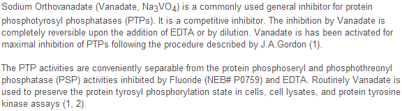 NEB代理 , 糖生物学与蛋白质工具 , 蛋白磷酸酶