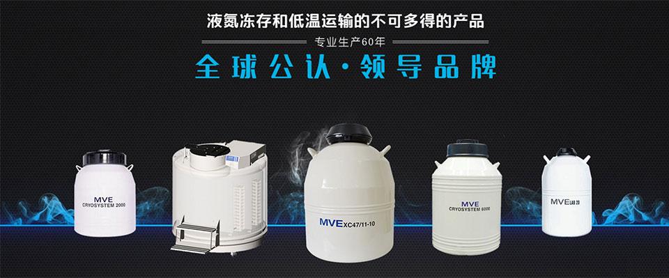 MVE液氮罐CryoSystem  2000