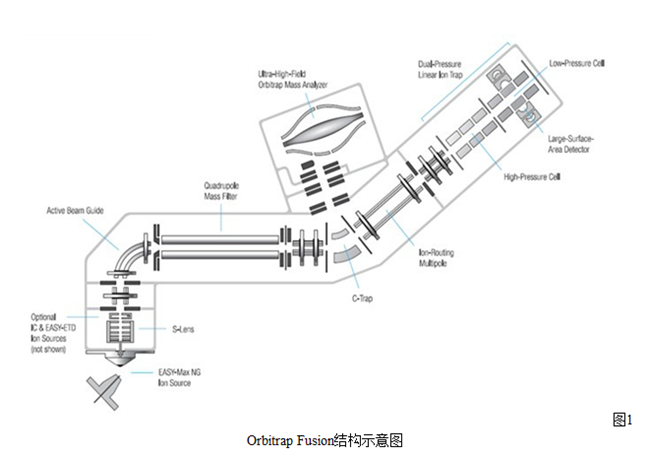 赛默飞Orbitrap Fusion™ Tribrid™ 三合一质谱仪(赛默飞)