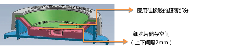iP-TEC® 细胞片运输容器 φ38、φ50                              iP-TEC® Cell Sheet Transport Container φ38、φ50